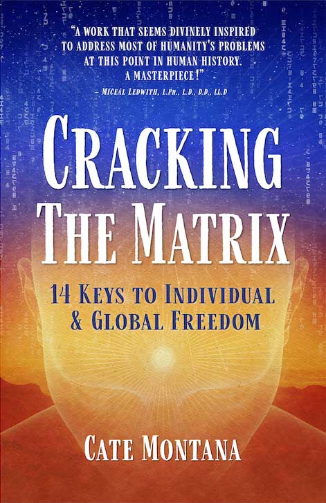 Cracking the Matrix by Cate Montana